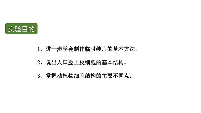 初中生物中考复习 初中生物实验突破(通用版):观察人的口腔上皮细胞课件第2页