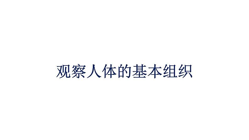 初中生物中考复习 初中生物实验突破(通用版):观察人体的基本组织课件第1页