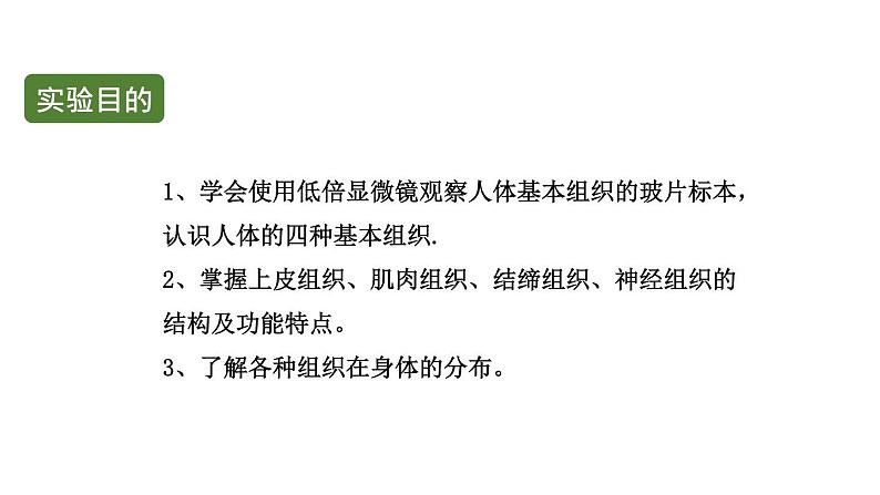 初中生物中考复习 初中生物实验突破(通用版):观察人体的基本组织课件第2页