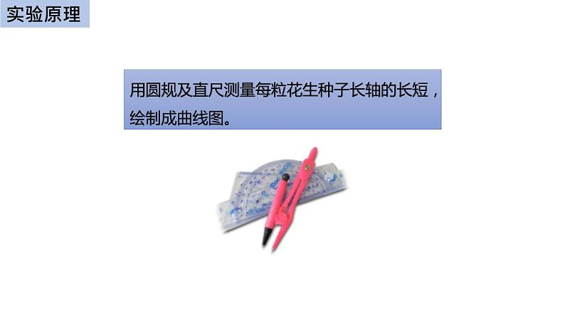 初中生物中考复习 初中生物实验突破(通用版):花生果实大小的变异探究实验课件第3页