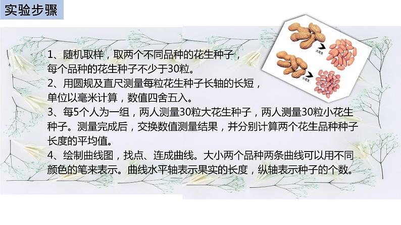 初中生物中考复习 初中生物实验突破(通用版):花生果实大小的变异探究实验课件第5页