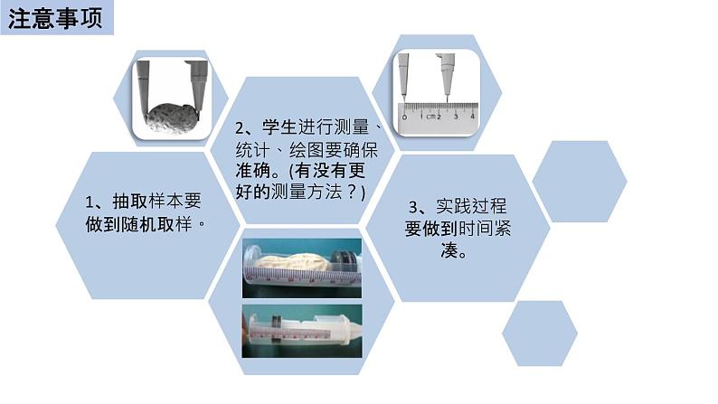 初中生物中考复习 初中生物实验突破(通用版):花生果实大小的变异探究实验课件第6页