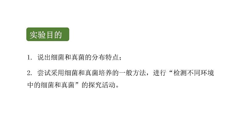 初中生物中考复习 初中生物实验突破(通用版):检测不同环境中的细菌和真菌课件02