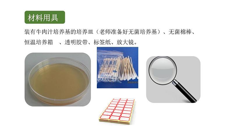 初中生物中考复习 初中生物实验突破(通用版):检测不同环境中的细菌和真菌课件04