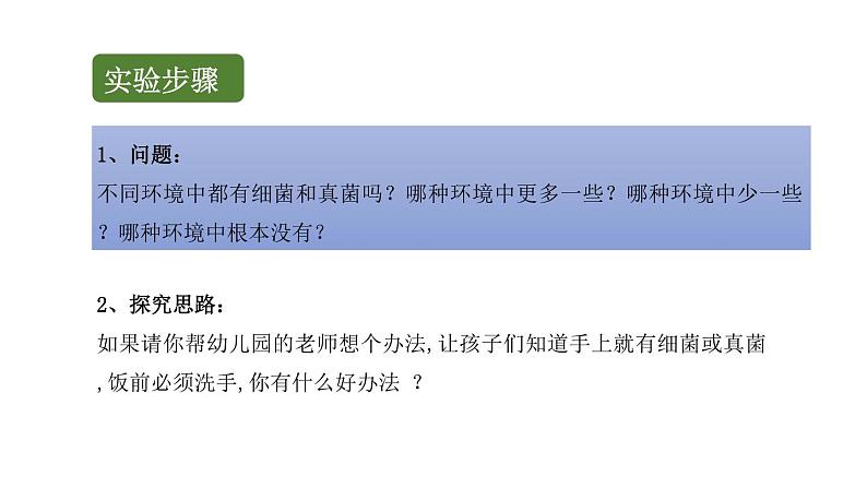 初中生物中考复习 初中生物实验突破(通用版):检测不同环境中的细菌和真菌课件05