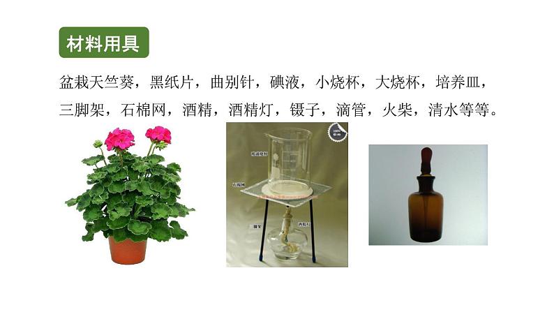 初中生物中考复习 初中生物实验突破(通用版):绿叶在光下制造有机物课件04