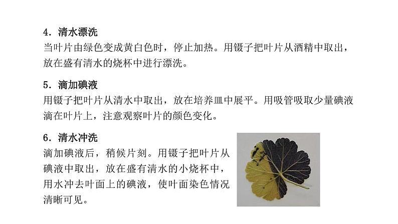 初中生物中考复习 初中生物实验突破(通用版):绿叶在光下制造有机物课件07