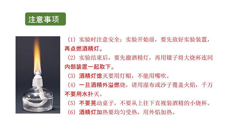 初中生物中考复习 初中生物实验突破(通用版):绿叶在光下制造有机物课件08