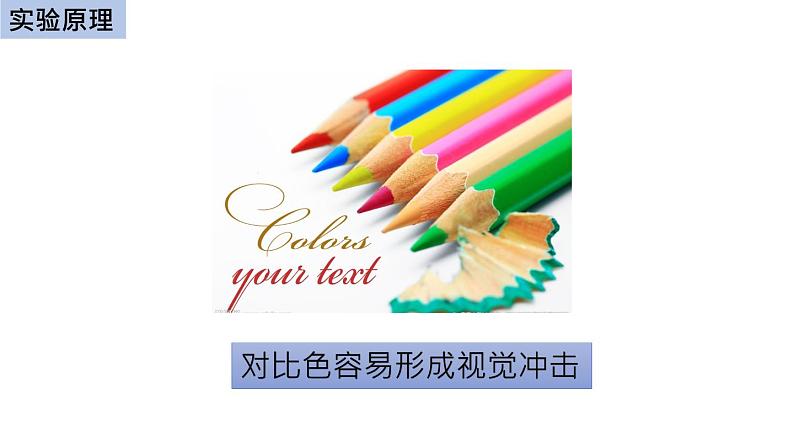 初中生物中考复习 初中生物实验突破(通用版):模拟保护色的形成过程课件第3页