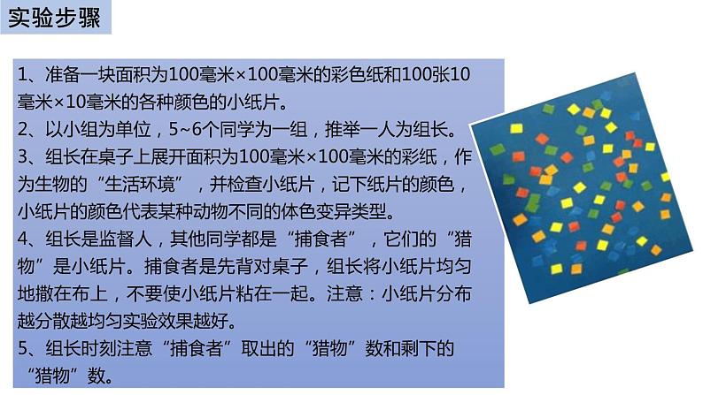 初中生物中考复习 初中生物实验突破(通用版):模拟保护色的形成过程课件第5页