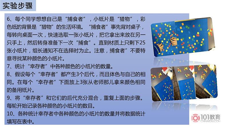 初中生物中考复习 初中生物实验突破(通用版):模拟保护色的形成过程课件第6页