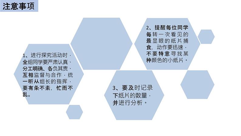 初中生物中考复习 初中生物实验突破(通用版):模拟保护色的形成过程课件第7页