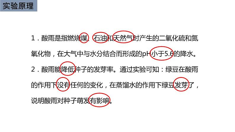 初中生物中考复习 初中生物实验突破(通用版):模拟酸雨对生物的影响的实验课件第4页