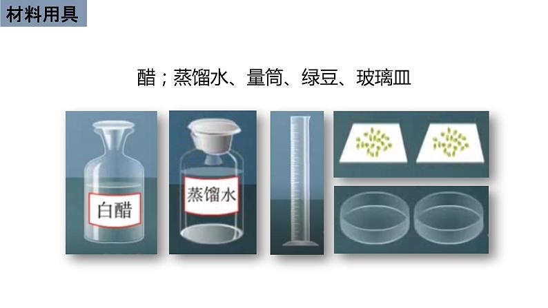 初中生物中考复习 初中生物实验突破(通用版):模拟酸雨对生物的影响的实验课件第5页