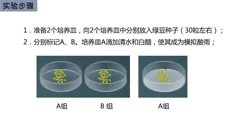 初中生物中考复习 初中生物实验突破(通用版):模拟酸雨对生物的影响的实验课件第6页