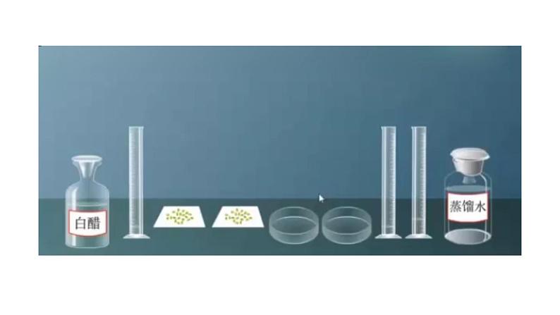 初中生物中考复习 初中生物实验突破(通用版):模拟酸雨对生物的影响的实验课件第8页
