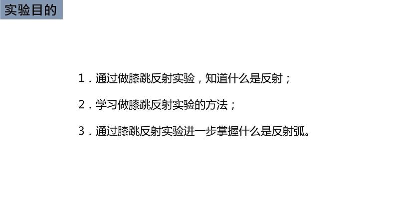 初中生物中考复习 初中生物实验突破(通用版):膝跳反射课件第2页