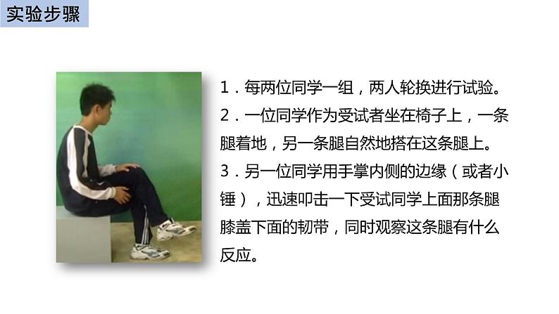 初中生物中考复习 初中生物实验突破(通用版):膝跳反射课件第5页