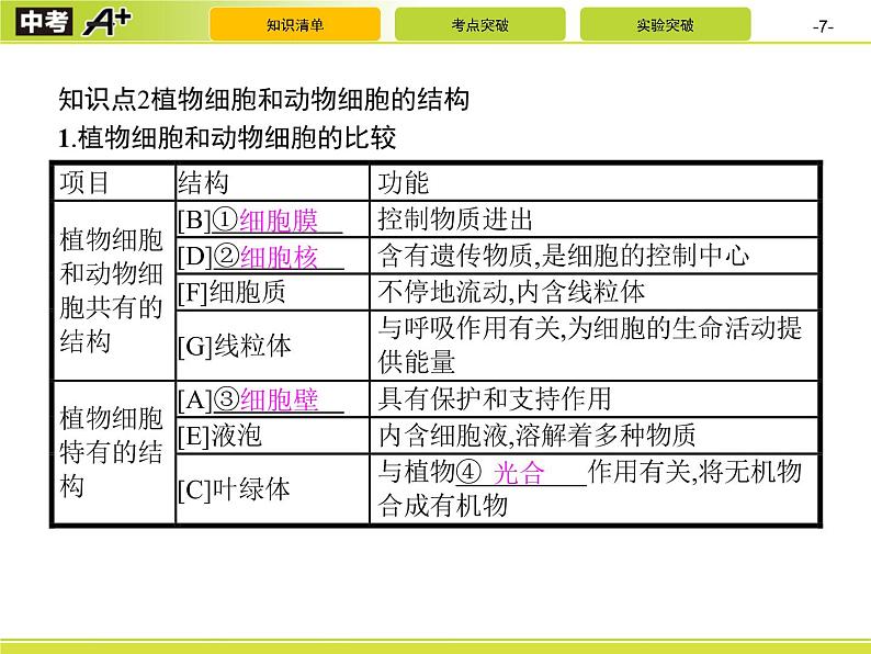 初中生物中考复习 第1讲 细胞是生命活动的基本单位课件PPT第7页