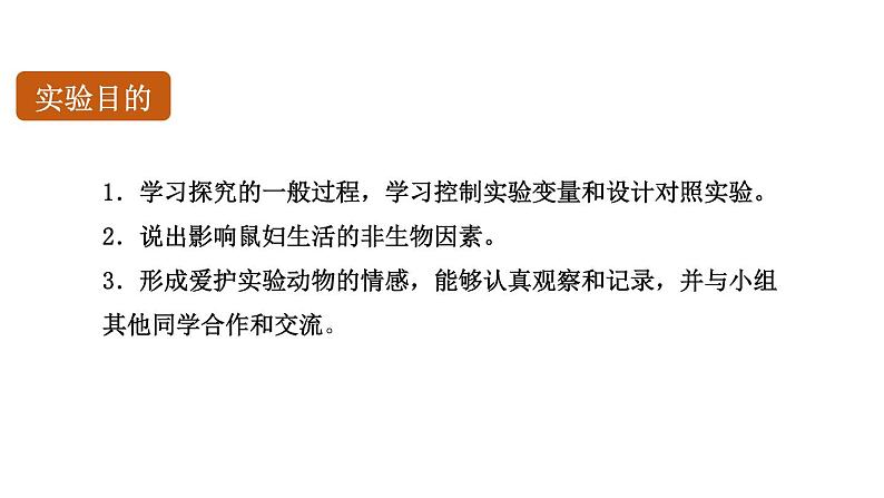 初中生物中考复习 初中生物实验突破(通用版):非生物因素对某种动物的影响课件第2页