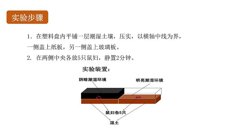 初中生物中考复习 初中生物实验突破(通用版):非生物因素对某种动物的影响课件第5页