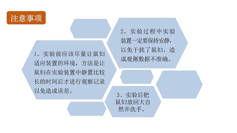 初中生物中考复习 初中生物实验突破(通用版):非生物因素对某种动物的影响课件第7页