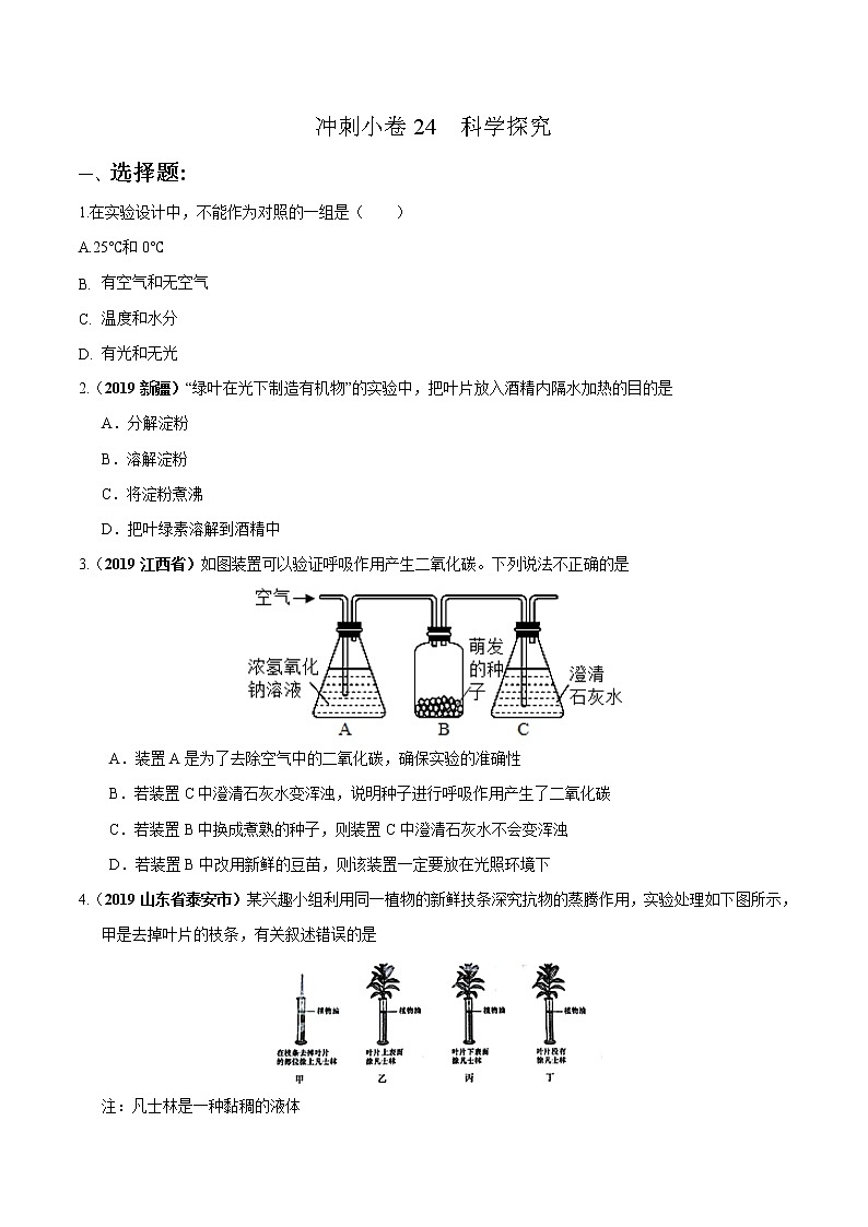 初中生物中考复习 冲刺小卷24 科学探究-2020年《三步冲刺中考·生物》之最新模考分类冲刺小卷(人教通用版)(原卷版)01