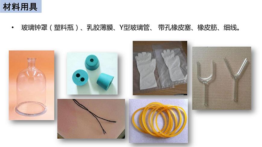 初中生物中考復習 初中生物實驗突破(通用版):膈肌運動的模擬實驗課件第4頁