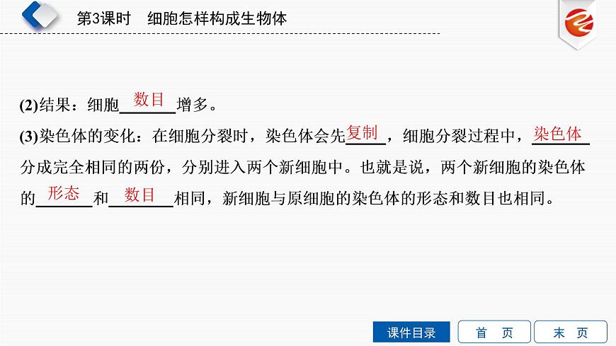 初中生物中考復(fù)習(xí) 第3單元 細胞怎樣構(gòu)成生物體課件PPT第4頁