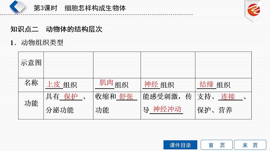 初中生物中考復(fù)習(xí) 第3單元 細胞怎樣構(gòu)成生物體課件PPT第6頁