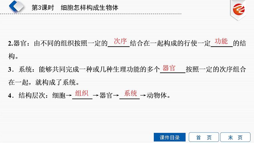 初中生物中考復(fù)習(xí) 第3單元 細胞怎樣構(gòu)成生物體課件PPT第7頁