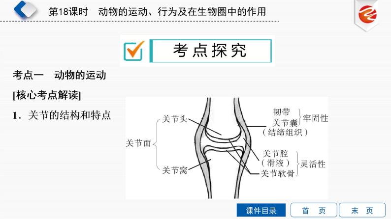 初中生物中考复习 第18单元　动物的运动、行为及在生物圈中的作用课件PPT08