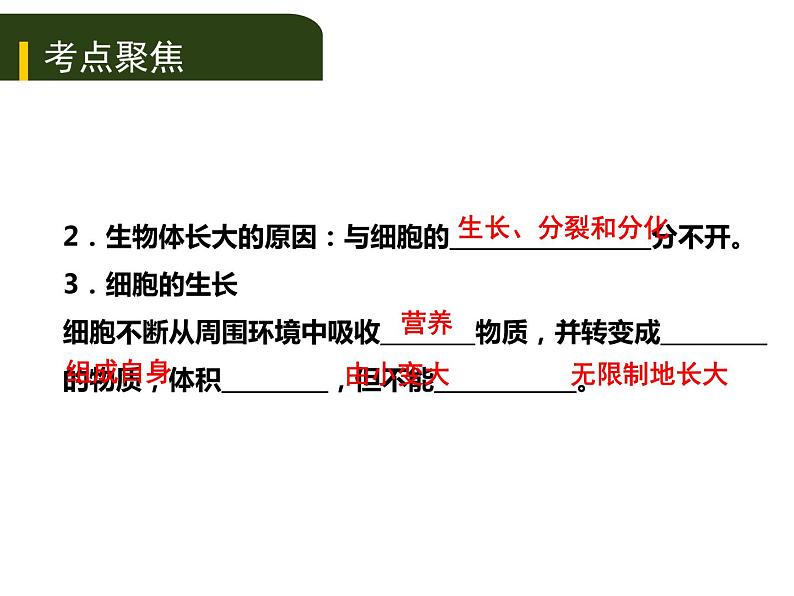 初中生物中考复习 二、(二)多细胞生物体的结构层次课件PPT第5页