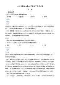 初中生物中考复习 精品解析：湖南省衡阳市2020中考生物试题（解析版）