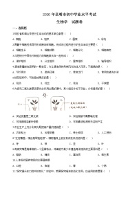 初中生物中考复习 精品解析：云南省昆明市2020年中考生物试题（原卷版）