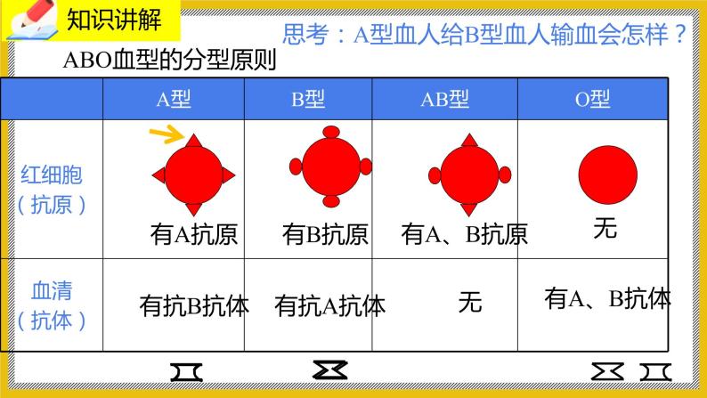 9.1.2《血液》课件PPT+教案+同步练习06