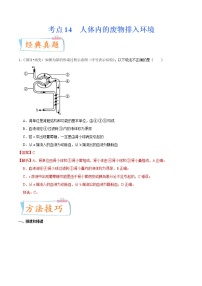 初中生物中考复习 考点14 人体内的废物排入环境-备战2022年中考生物一轮复习考点微专题