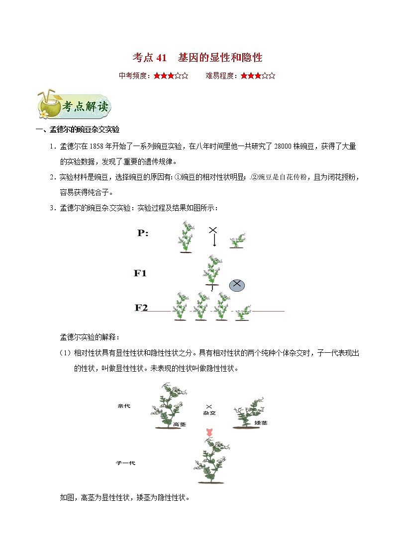 初中生物中考复习 考点41 基因的显性和隐性-备战2021年中考生物考点一遍过第1页