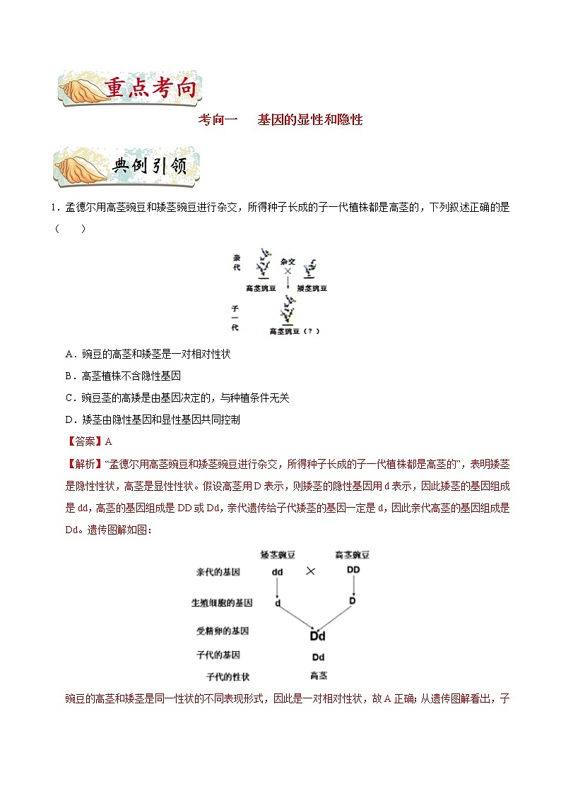 初中生物中考复习 考点41 基因的显性和隐性-备战2021年中考生物考点一遍过第3页