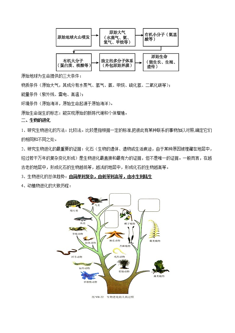 初中生物中考复习 考点44 生命起源和生物进化-备战2021年中考生物考点一遍过第2页