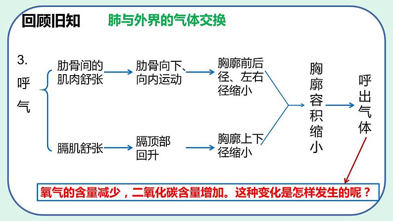 4.3.2 发生在肺内的气体交换(第2课时)-初中生物七年级下册 课件+练习(人教版新课标)04
