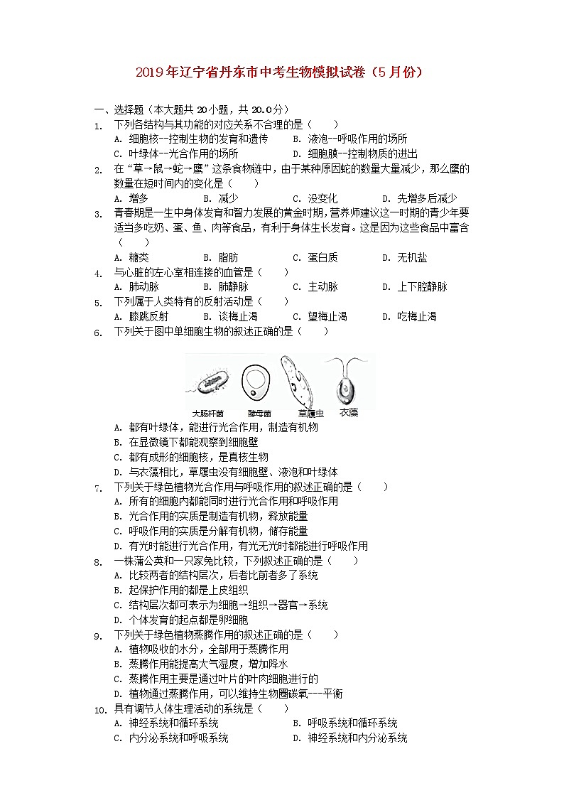 初中生物中考复习 辽宁省丹东市2019年中考生物模拟试卷(5月份)(含解析)01