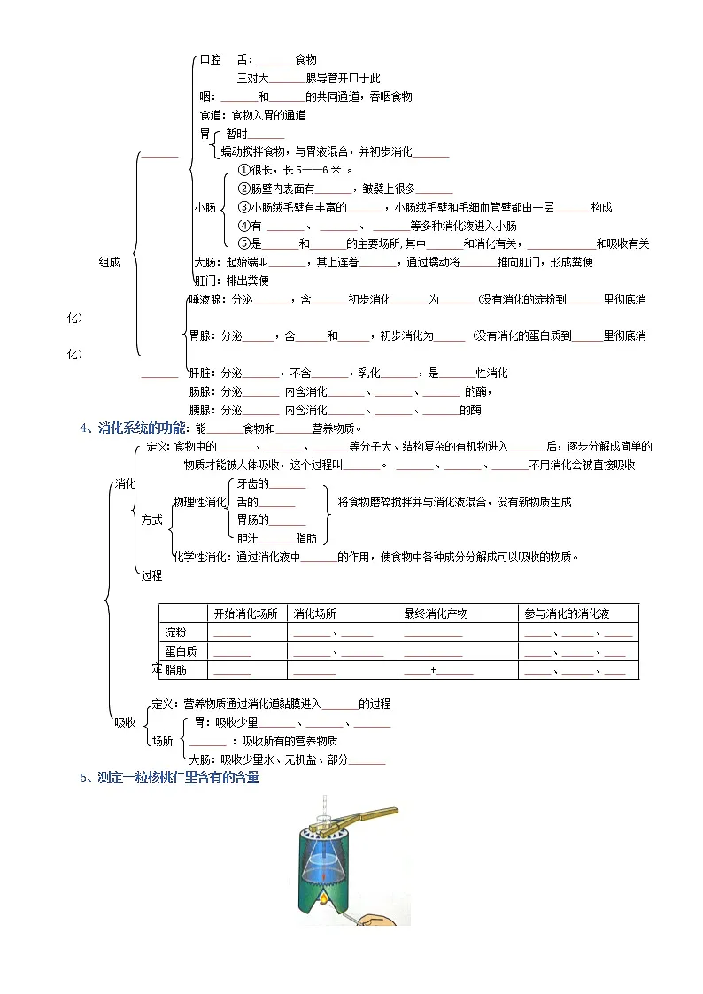 初中生物中考复习 七年级下册-2022年中考生物复习必背考点分册梳理(人教版)(填空版)第2页