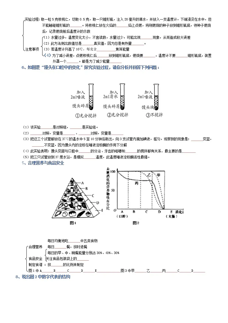 初中生物中考复习 七年级下册-2022年中考生物复习必背考点分册梳理(人教版)(填空版)第3页