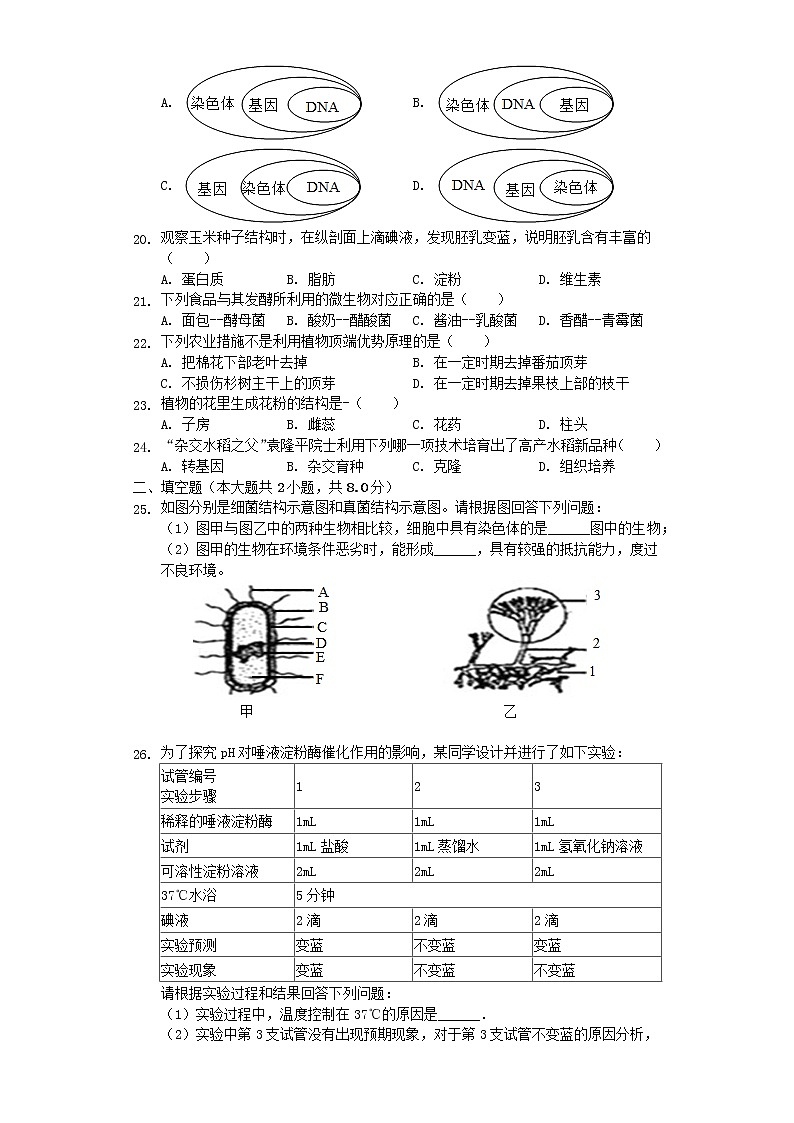 初中生物中考复习 山东省莱芜市2019年中考生物全真模拟试卷(一)(含解析)03