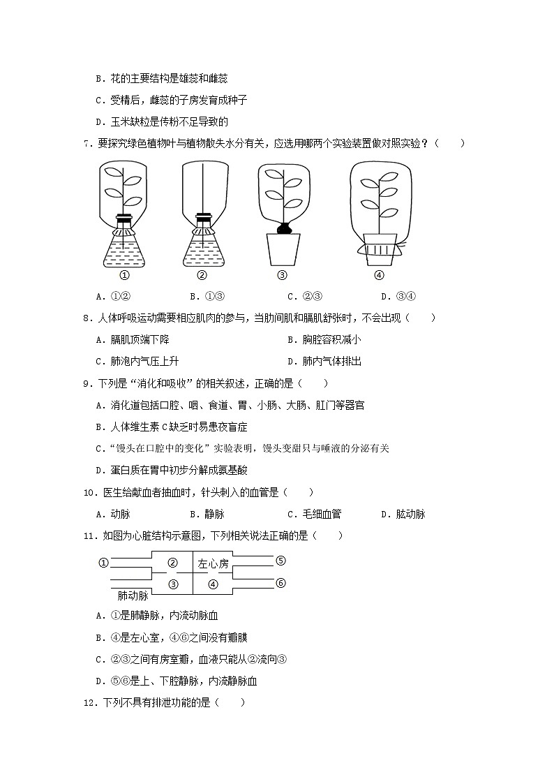 初中生物中考复习 山东省聊城市城区2019年中考生物二模试卷02