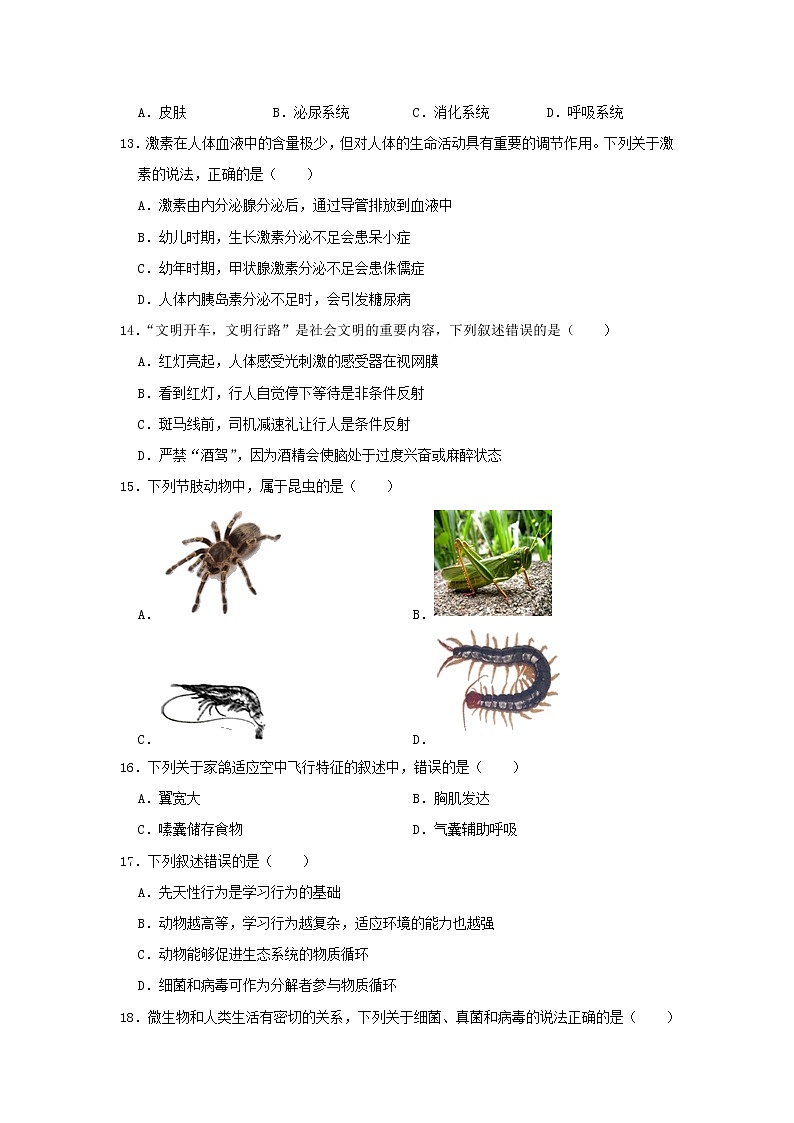 初中生物中考复习 山东省聊城市城区2019年中考生物二模试卷03