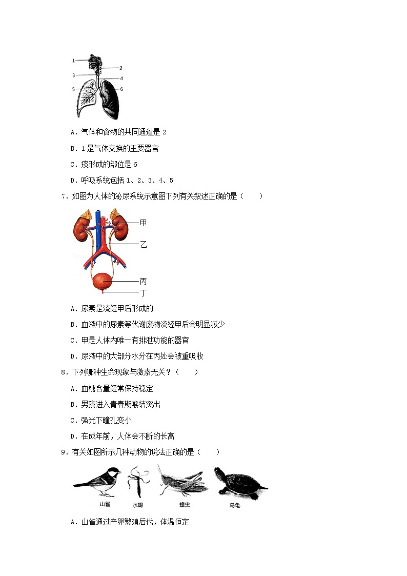 初中生物中考复习 山东省聊城市度假区2019年中考生物一模试卷第2页