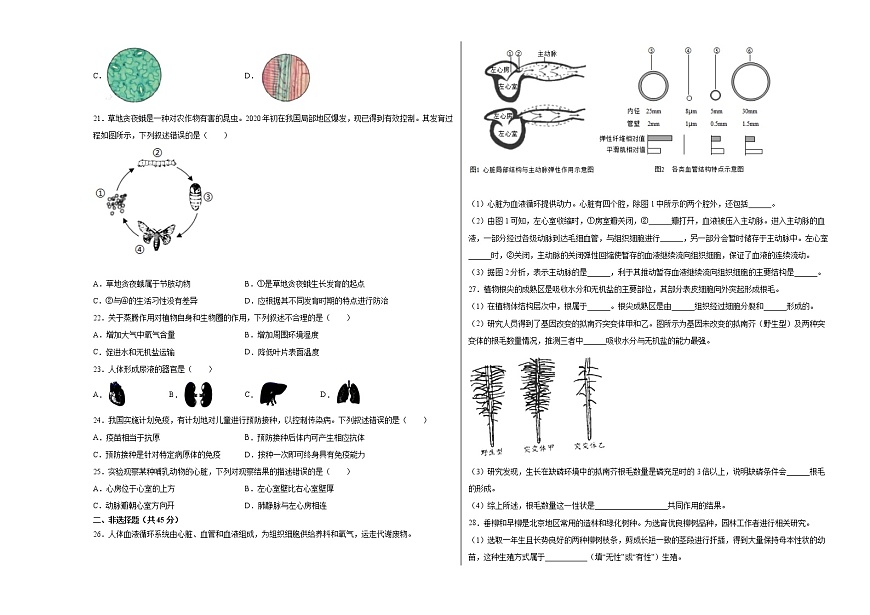 初中生物中考復(fù)習(xí) 生物-（北京卷）【試題猜想】2021年中考考前最后一卷（考試版）第3頁