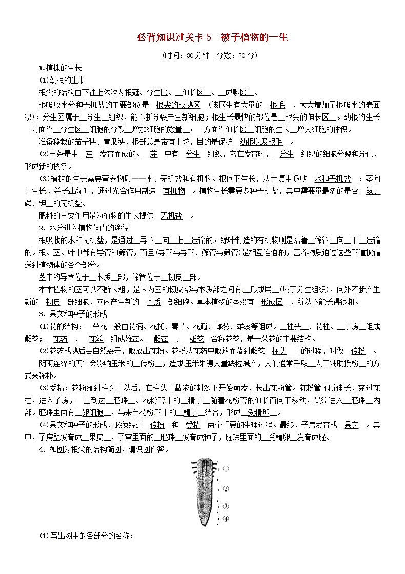 初中生物中考复习 中考生物总复习必背知识过关卡5被子植物的一生第1页